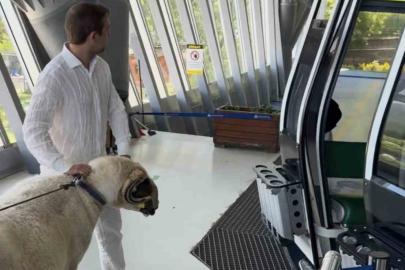 Bayramda keseceği koçla teleferik keyfi yaptı