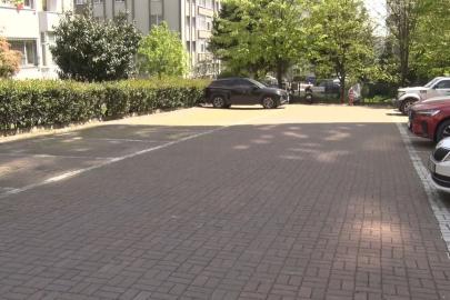 Beylikdüzü’nde başıboş köpekler vatandaşı kovaladı