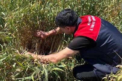Bilinçsiz ilaç kullanmak hem çevreye hem de ekonomiye zarar verir