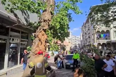 Bursa’da seyir halindeki araçların üzerine ağaç devrildi: 1 kişi yaralandı