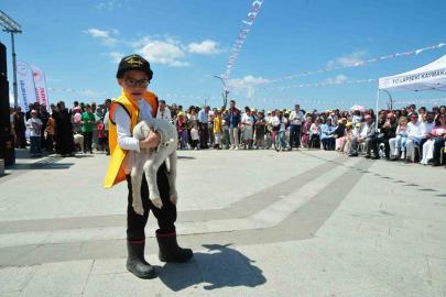 Çanakkale’de ’Boğazın Minik Çobanları’ yarışması