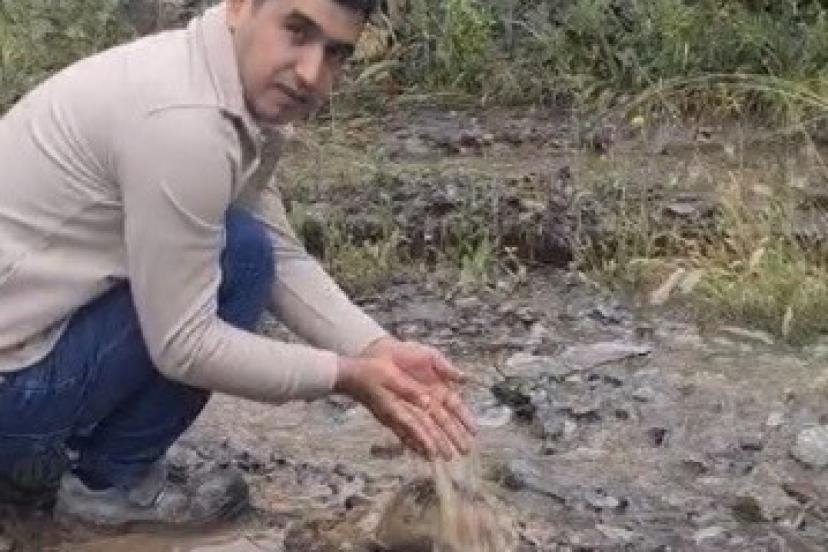 Dere yatağında mahsur kalan köpek ile toprak altındaki kaplumbağa kurtarıldı