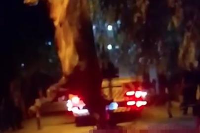 Dereye düşen kurbanlık dana vinçle kurtarıldı