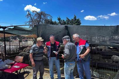 Didim’de bayram boyunca veteriner denetimleri sürecek