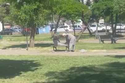Diyarbakır’da amcalar yaşlarına aldırış etmeden parkta mekik çekti