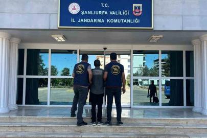 Dolandırıcılık suçundan aranan şahıs yakalandı