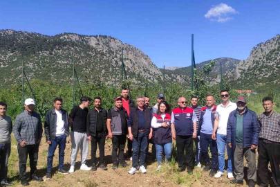 Eğirdir’de budama ve aşılama kursuna yoğun ilgi