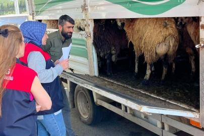 Elazığ’da Kurban Bayramı öncesi denetim