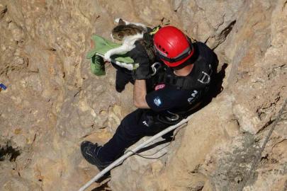 Falezlerde mahsur kalan kedi, itfaiyenin 1 saatlik çalışmasıyla kurtarıldı