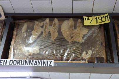Görenler dönüp bir daha bakıyor, 35 yıllık bal çerçeveleri dikkat çekiyor