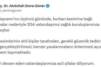 İstanbul İl Sağlık Müdürü Güner: "Kurban Bayramı’nın üçüncü gününde 204 kişi yaralandı"