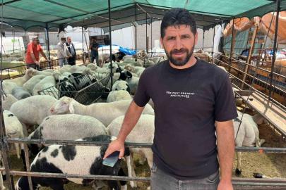 İzmir kurban pazarlarında sosyal medya rüzgarı