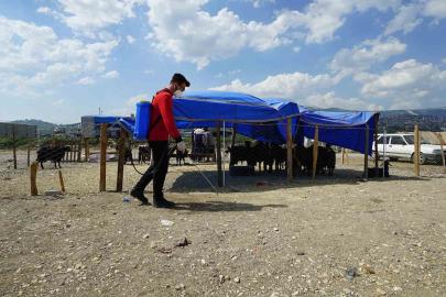 Kahramanmaraş’ta bayram temizliği ve ilaçlama çalışmaları sürüyor