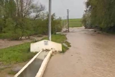 Kırşehir’de sağanak sele dönüştü: Arı kovanları zarar gördü