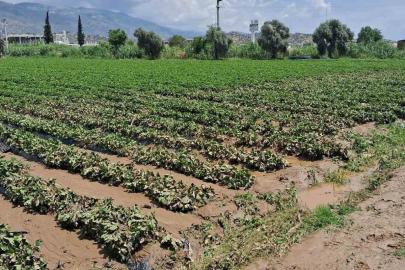 Köşk’te sel sonrası arazilerde hasar tespiti başlatıldı