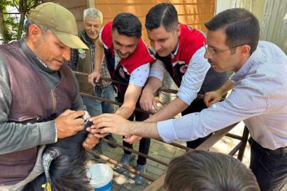 Kurban Bayramı öncesi Bozdoğan hayvan pazarında sıkı denetim