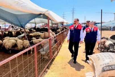 Mersin’de Kurban Bayramı öncesi satış noktalarında sıkı denetim