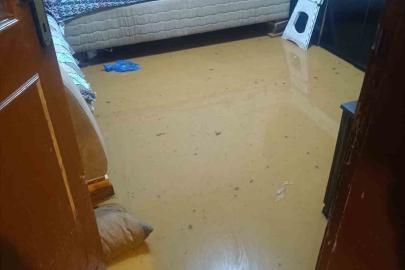 Sağanak yağış sebebiyle evleri su bastı