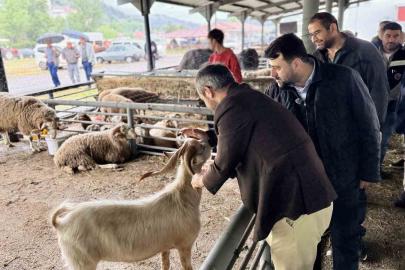 Şahin ve Çetinkaya’dan Kurban satış alanına ziyaret