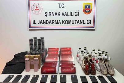 Şırnak’ta jandarmadan 18 milyon kaçakçılık operasyonu
