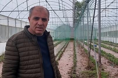 Sivas’ta dere taştı: Sera ve bahçeler sular altında kaldı