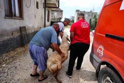 Tarsus Belediyesinden şehit ailelerine bayram desteği