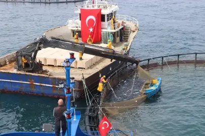 Türk somonu ihracatta rekor yolunda... Üretim 75 bin tona ulaştı