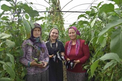 Üç kuşak kadın serada: Nineden toruna hem üretime hem aile ekonomisine katkı sağlıyorlar