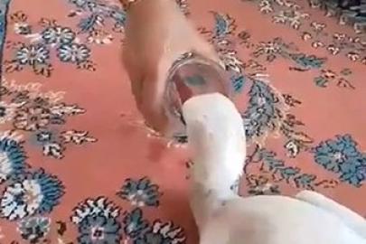 Yaralı leyleğe sahip çıktı