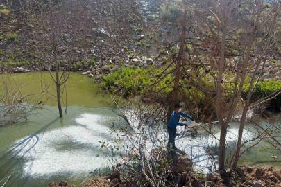 Adıyaman’da sivrisinek ve haşerelere karşı ilaçlama çalışması