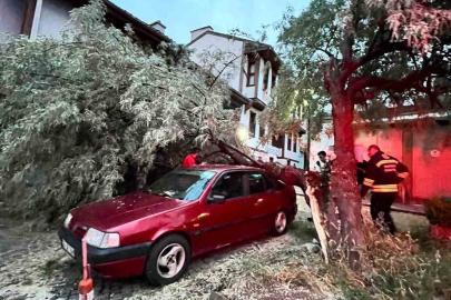 Araç üzerine düşen ağaç itfaiye ekiplerinin titiz çalışmasıyla kaldırıldı