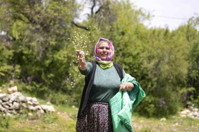 Atalık tohumlar toprakla buluştu, üreticiye can suyu oldu