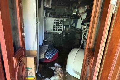 Ayvacık’ta ev yangınında 2 kedi telef oldu