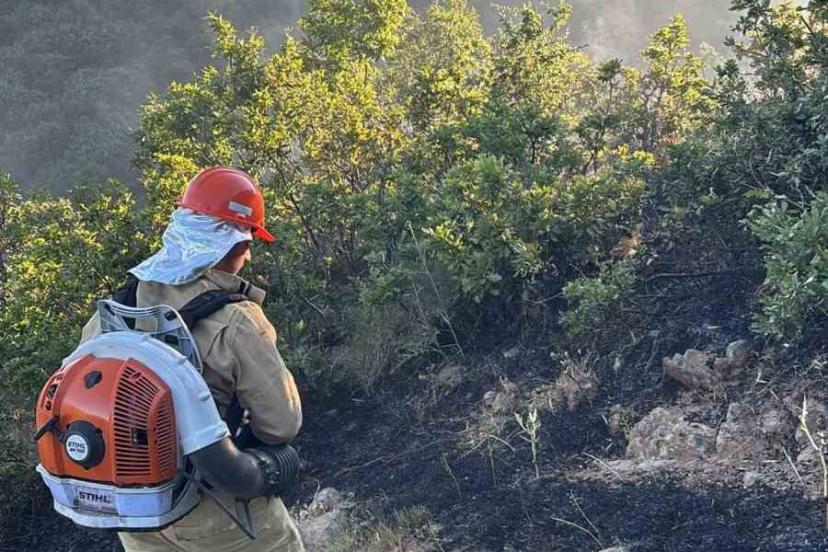 Bingöl’de çıkan orman yangını büyümeden kontrol altına alındı