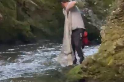 Bolu’da yasak dinlemeyen avcılar kamerada: Serpme ağ ile balık avladılar