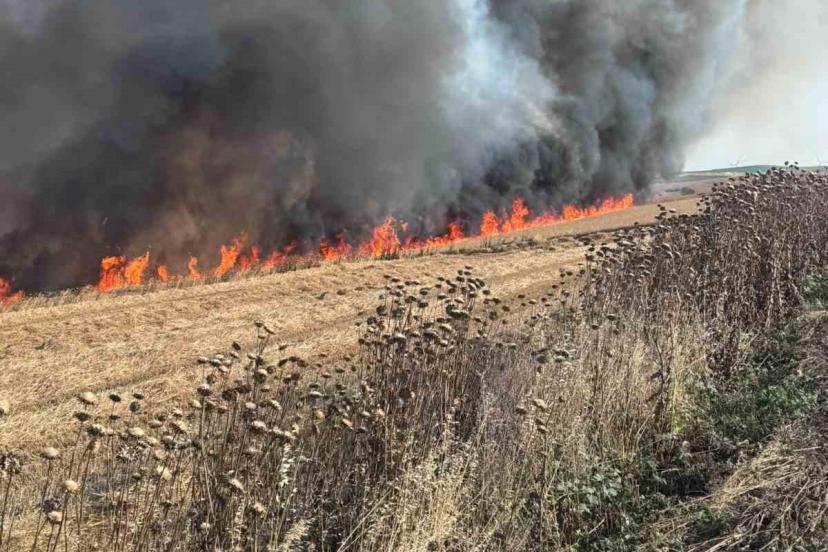 Buğday tarlası alev alev yandı
