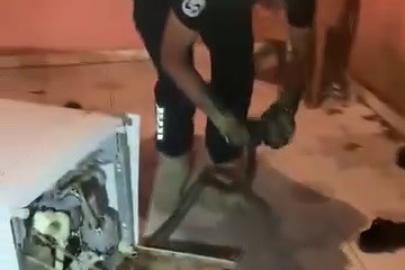 Bulaşık makinesine giren 2 metrelik karayılanı itfaiye çıkardı