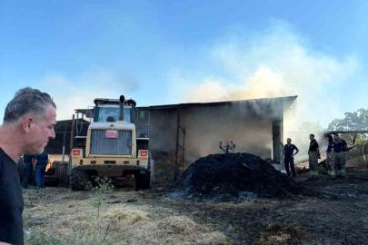 Bursa’da çiftlik yangını: 4 büyükbaş hayvan telef oldu