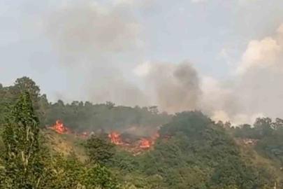 Bursa’da makilik alanda yangın