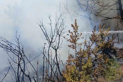 Bursa’da piknik alanı yakınındaki yangın korkuttu