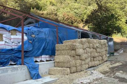 Bursa’daki orman yangınında 1 kişi gözaltına alındı