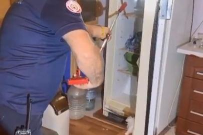 Buzdolabının içerisine giren yılanı itfaiye ekipleri çıkardı