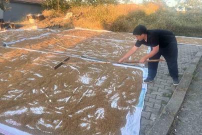 Çiçekdağı ilçesinde geleneksel bulgur yapımı başladı