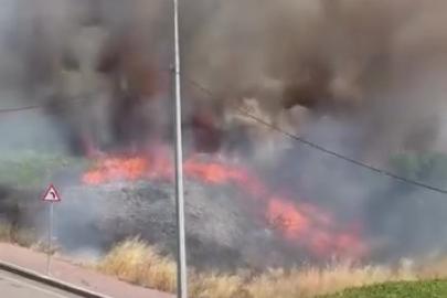 Darıca’da arazide korkutan yangın