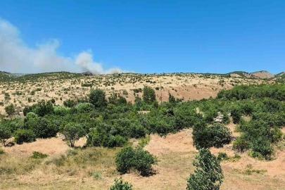 Dicle’de ağaçlık alanda yangın