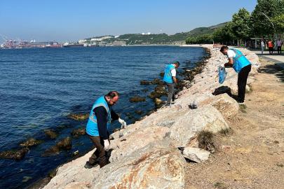 Dilovası’nda Marmara Denizi için sahil temizliği yapıldı