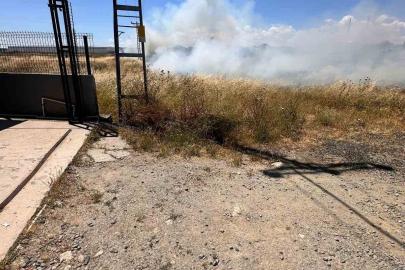 Elektrik tellerine çarpan kuş yangın çıkardı