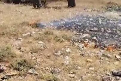 Gercüş’te korkutan yangın: Köyün geçim kaynağı ekili alanlar son anda kurtarıldı