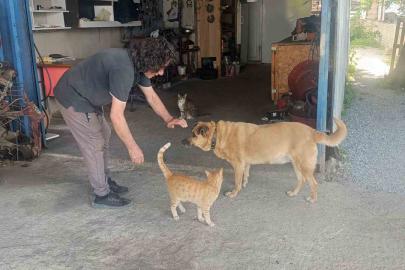 Gözleri görmeyen köpeğe 13 yıldır evladı gibi bakıyor