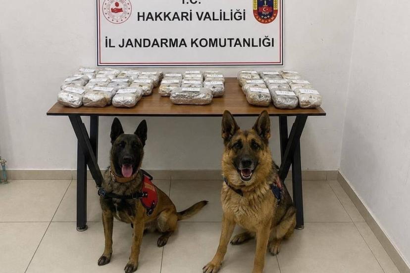 Hakkari’de 21 kilo 650 gram toz esrar ele geçirildi